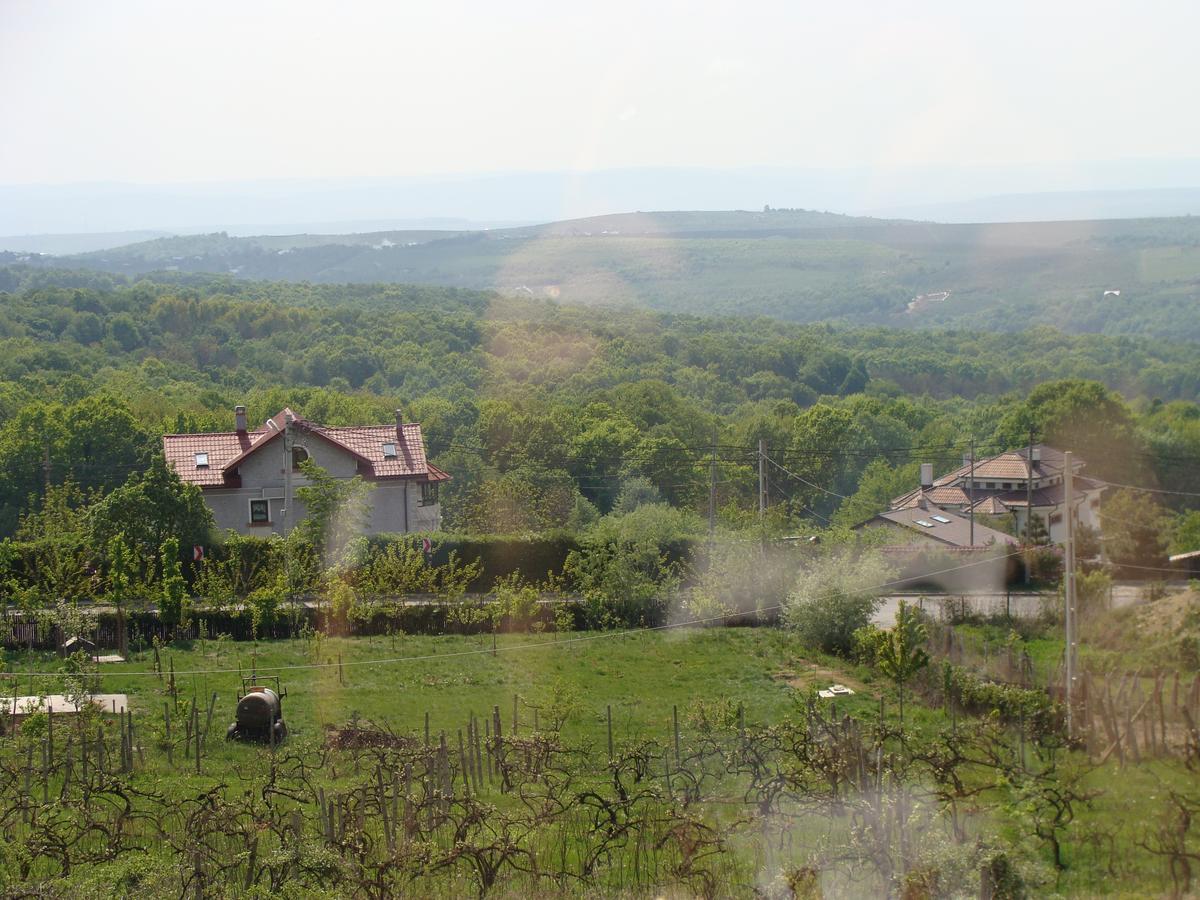 Pensiunea Taverna Bucium Iasi Bagian luar foto
