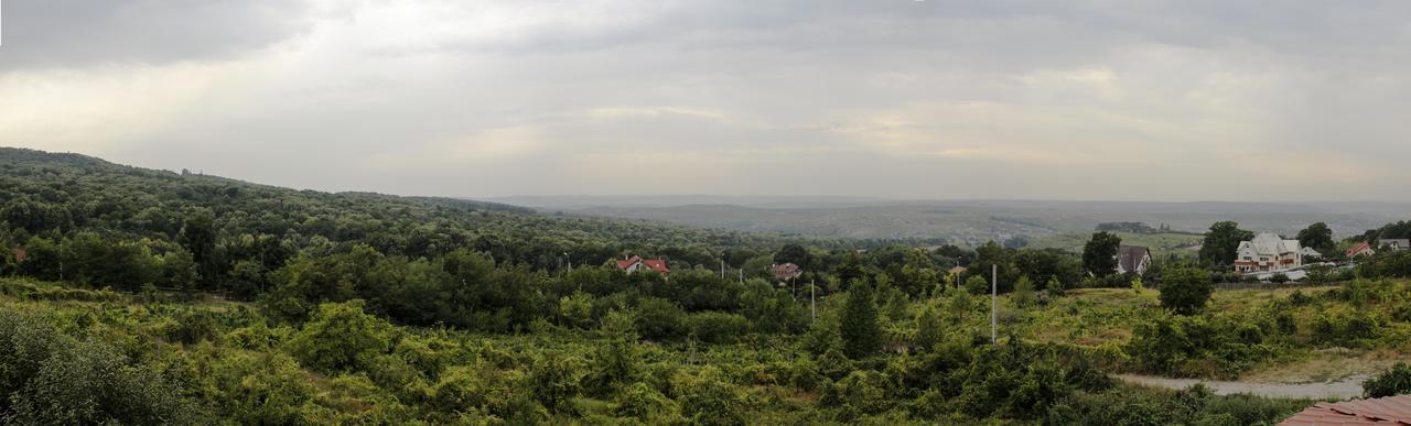 Pensiunea Taverna Bucium Iasi Bagian luar foto